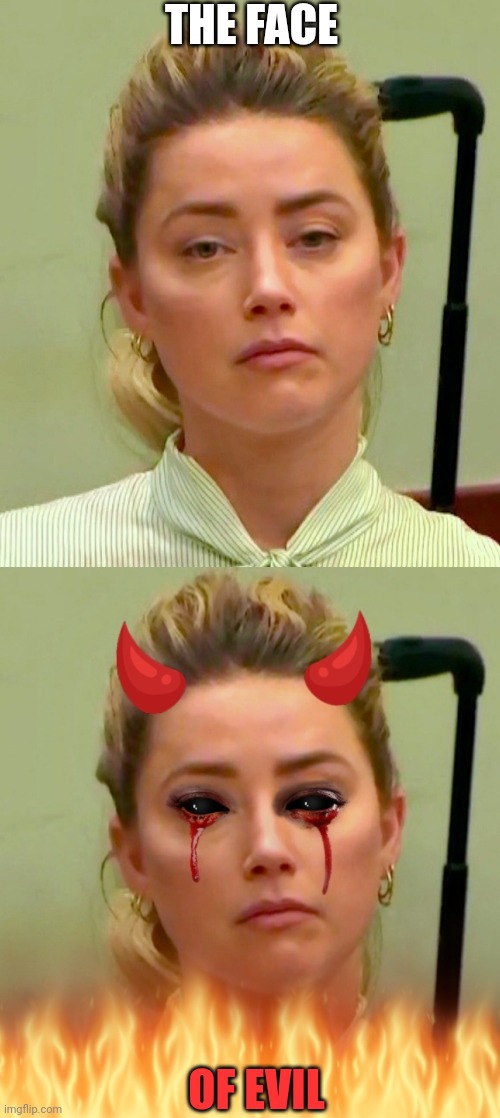 PUT HER IN JAIL | THE FACE; OF EVIL | image tagged in amber heard,johnny depp | made w/ Imgflip meme maker
