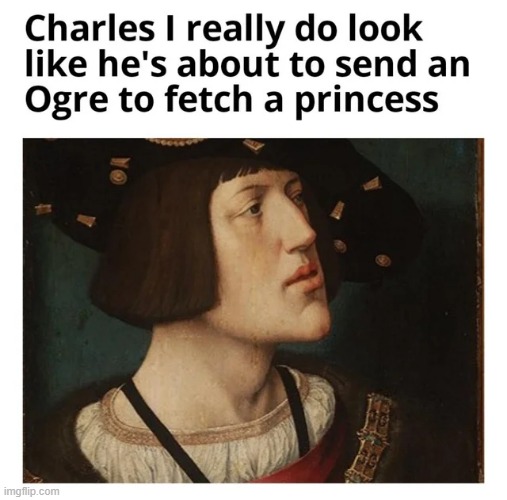 Oh Those Hapsburgs | image tagged in history memes | made w/ Imgflip meme maker