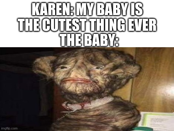 the baby |  KAREN: MY BABY IS THE CUTEST THING EVER; THE BABY: | image tagged in bear,karen | made w/ Imgflip meme maker