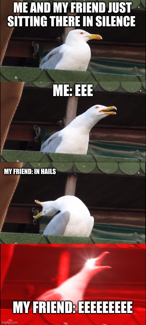 Inhaling Seagull | ME AND MY FRIEND JUST SITTING THERE IN SILENCE; ME: EEE; MY FRIEND: IN HAILS; MY FRIEND: EEEEEEEEE | image tagged in memes | made w/ Imgflip meme maker