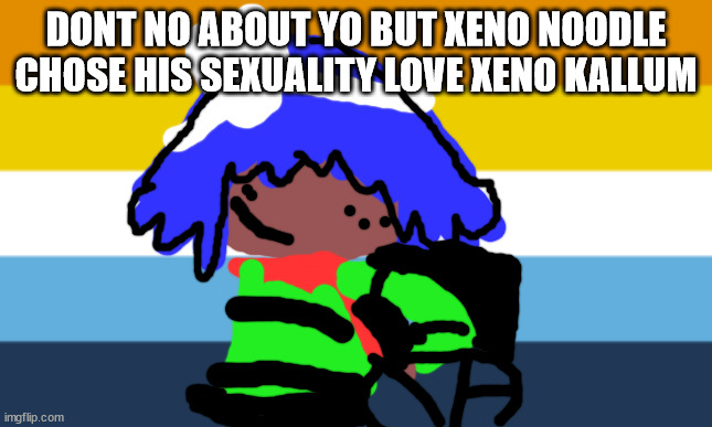asexual memes | DONT NO ABOUT YO BUT XENO NOODLE CHOSE HIS SEXUALITY LOVE XENO KALLUM | image tagged in asexual | made w/ Imgflip meme maker