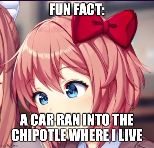 now it’s closed | FUN FACT:; A CAR RAN INTO THE CHIPOTLE WHERE I LIVE | image tagged in sayori cute moron | made w/ Imgflip meme maker
