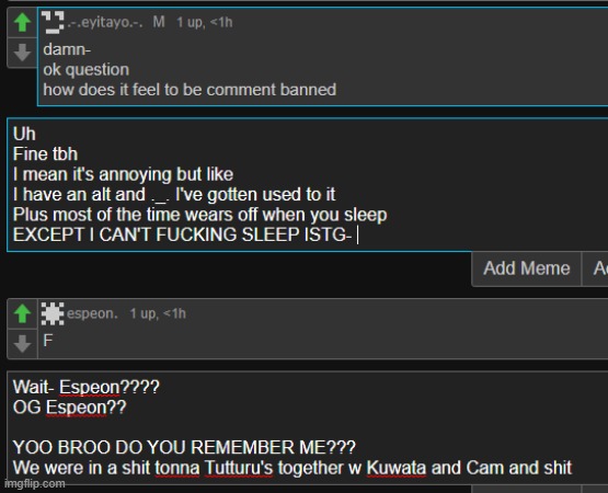 honestly- oh wait I have an alt wtf am I doing bruh- I'M SO DUMB- | made w/ Imgflip meme maker
