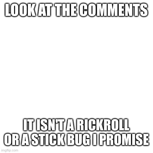 Blank Transparent Square Meme | LOOK AT THE COMMENTS; IT ISN'T A RICKROLL OR A STICK BUG I PROMISE | image tagged in memes,blank transparent square | made w/ Imgflip meme maker