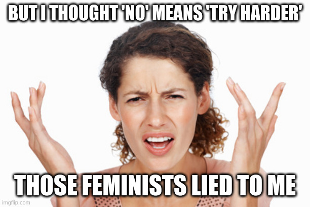 Indignant | BUT I THOUGHT 'NO' MEANS 'TRY HARDER'; THOSE FEMINISTS LIED TO ME | image tagged in indignant | made w/ Imgflip meme maker