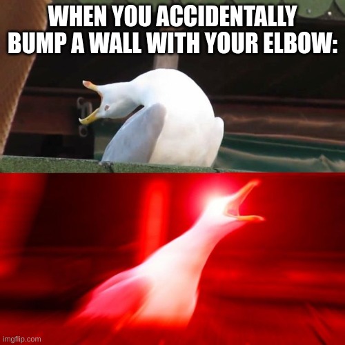 Who else does this on a daily basis and hates walls for it? | WHEN YOU ACCIDENTALLY BUMP A WALL WITH YOUR ELBOW: | image tagged in memes,relatable,relatable memes,inhaling seagul,funny | made w/ Imgflip meme maker
