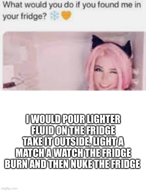Burnnnnn | I WOULD POUR LIGHTER FLUID ON THE FRIDGE TAKE IT OUTSIDE, LIGHT A MATCH A WATCH THE FRIDGE BURN AND THEN NUKE THE FRIDGE | image tagged in blank white template,help me,burn | made w/ Imgflip meme maker