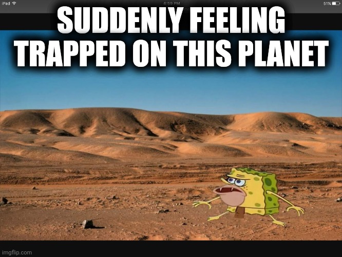 Spongar meme | SUDDENLY FEELING TRAPPED ON THIS PLANET | image tagged in spongar meme | made w/ Imgflip meme maker