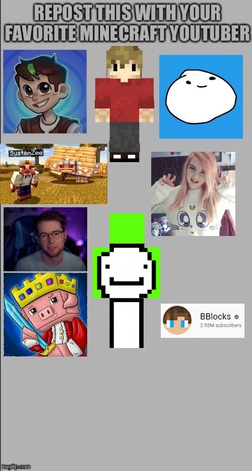 BBlocks is my favortie Minecraft YouTuber | image tagged in minecrafter,youtubers,repost | made w/ Imgflip meme maker