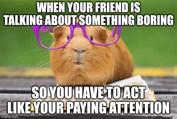 Guinea pig meme | WHEN YOUR FRIEND IS TALKING ABOUT SOMETHING BORING; SO YOU HAVE TO ACT LIKE YOUR PAYING ATTENTION | image tagged in guinea pig,pets,animals | made w/ Imgflip meme maker
