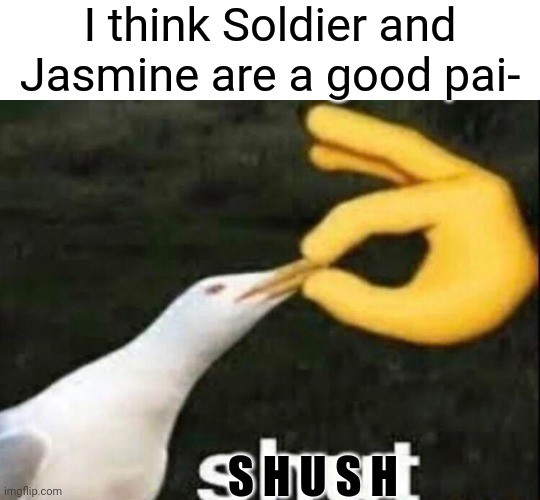 Don't | I think Soldier and Jasmine are a good pai-; S H U S H | image tagged in shut | made w/ Imgflip meme maker