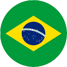 High Quality Circled Brazilian Flag Blank Meme Template