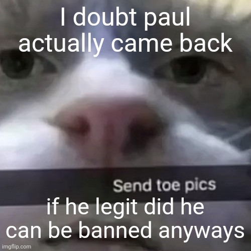 kat | I doubt paul actually came back; if he legit did he can be banned anyways | image tagged in kat | made w/ Imgflip meme maker