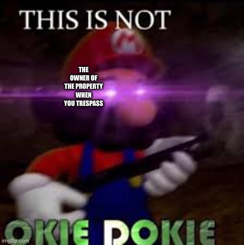 This is not okie dokie | THE OWNER OF THE PROPERTY WHEN YOU TRESPASS | image tagged in this is not okie dokie | made w/ Imgflip meme maker