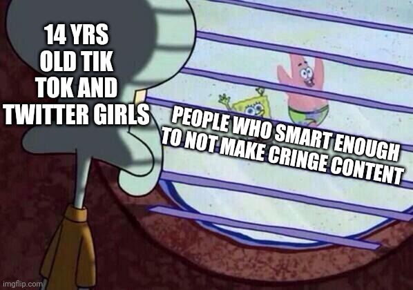 Cool if you smart enough for this | 14 YRS OLD TIK TOK AND TWITTER GIRLS; PEOPLE WHO SMART ENOUGH TO NOT MAKE CRINGE CONTENT | image tagged in squidward window | made w/ Imgflip meme maker