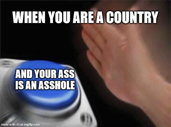 ai logic | WHEN YOU ARE A COUNTRY; AND YOUR ASS IS AN ASSHOLE | image tagged in memes,blank nut button | made w/ Imgflip meme maker