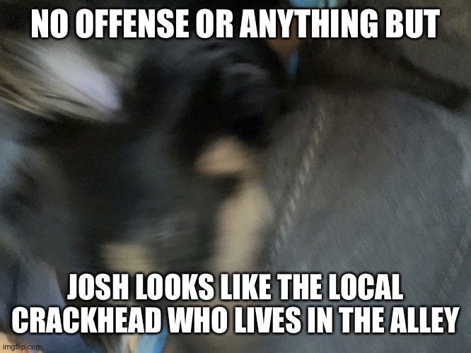 Jummy’s dog | NO OFFENSE OR ANYTHING BUT; JOSH LOOKS LIKE THE LOCAL CRACKHEAD WHO LIVES IN THE ALLEY | image tagged in jummy s dog | made w/ Imgflip meme maker