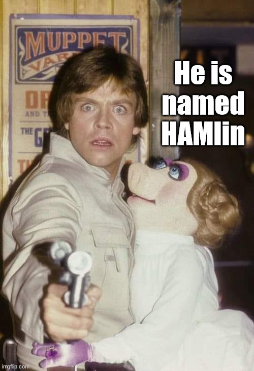 Pork and pork related products. | He is named HAMlin | image tagged in starwars | made w/ Imgflip meme maker