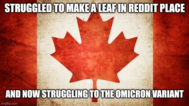 This is Canada :( | STRUGGLED TO MAKE A LEAF IN REDDIT PLACE; AND NOW STRUGGLING TO THE OMICRON VARIANT | image tagged in canada,reddit,coronavirus,covid-19,omicron,memes | made w/ Imgflip meme maker