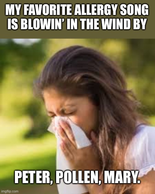 Allergy | MY FAVORITE ALLERGY SONG IS BLOWIN’ IN THE WIND BY; PETER, POLLEN, MARY. | image tagged in bad pun | made w/ Imgflip meme maker