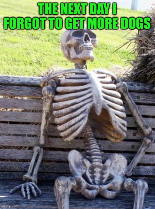 Waiting Skeleton Meme | THE NEXT DAY I FORGOT TO GET MORE DOGS | image tagged in memes,waiting skeleton | made w/ Imgflip meme maker