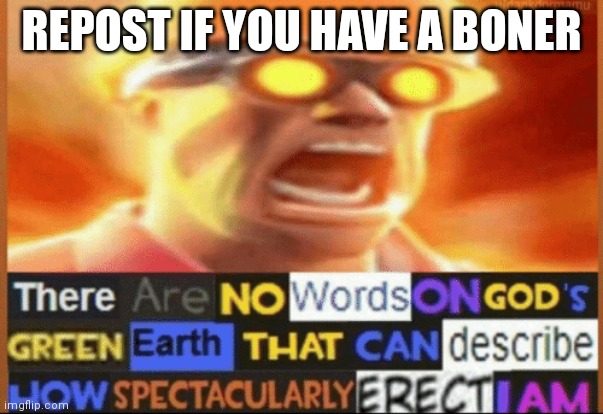 yes | REPOST IF YOU HAVE A BONER | image tagged in there are no words on god's green earth | made w/ Imgflip meme maker