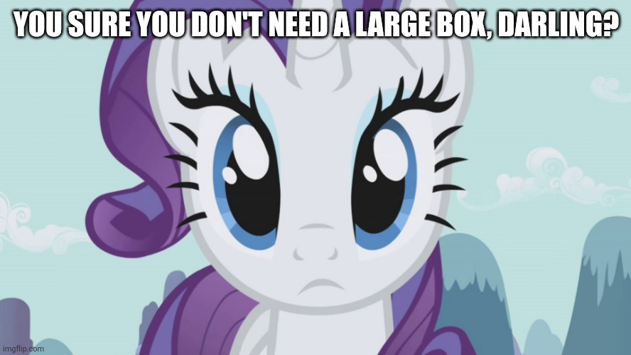 Stareful Rarity (MLP) | YOU SURE YOU DON'T NEED A LARGE BOX, DARLING? | image tagged in stareful rarity mlp | made w/ Imgflip meme maker