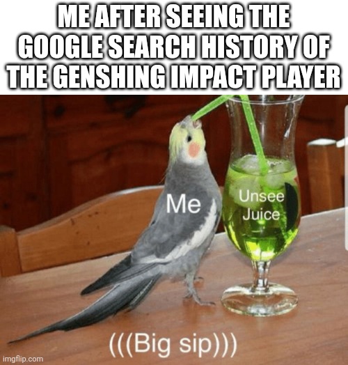I'l take the XXL juice | ME AFTER SEEING THE GOOGLE SEARCH HISTORY OF THE GENSHING IMPACT PLAYER | image tagged in unsee juice | made w/ Imgflip meme maker
