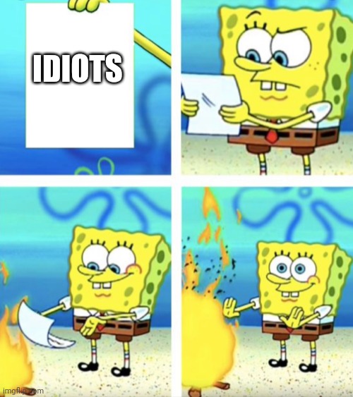 SpongeBob throwing paper in the fire | IDIOTS | image tagged in spongebob throwing paper in the fire | made w/ Imgflip meme maker