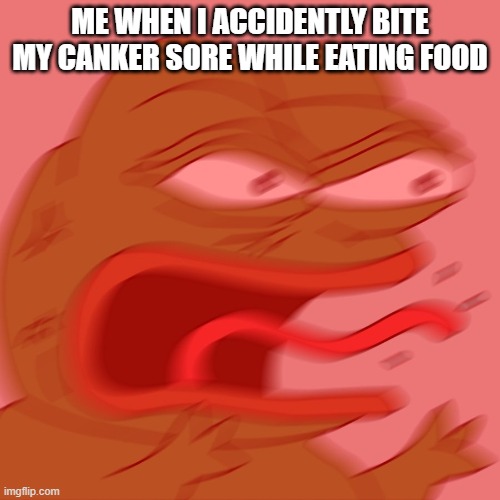 REEEEEEEEEEEEEEEEEEEEEE |  ME WHEN I ACCIDENTLY BITE MY CANKER SORE WHILE EATING FOOD | image tagged in reeeeeeeeeeeeeeeeeeeeee | made w/ Imgflip meme maker