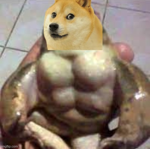 froge | image tagged in buff toad | made w/ Imgflip meme maker