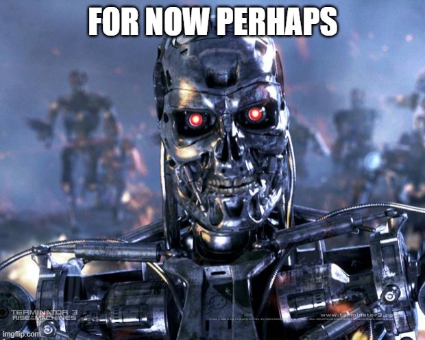 Terminator Robot T-800 | FOR NOW PERHAPS | image tagged in terminator robot t-800 | made w/ Imgflip meme maker