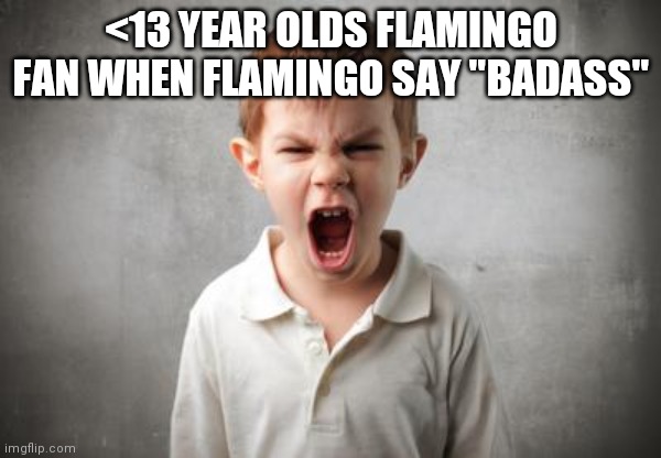 They start a drama lol | <13 YEAR OLDS FLAMINGO FAN WHEN FLAMINGO SAY "BADASS" | image tagged in angry kid | made w/ Imgflip meme maker