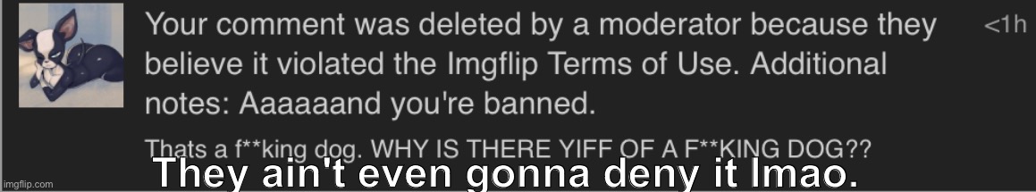 Oh no, I'm banned. That makes me so sad :( | They ain't even gonna deny it lmao. | made w/ Imgflip meme maker