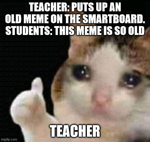 sad thumbs up cat | TEACHER: PUTS UP AN OLD MEME ON THE SMARTBOARD. STUDENTS: THIS MEME IS SO OLD; TEACHER | image tagged in sad thumbs up cat | made w/ Imgflip meme maker
