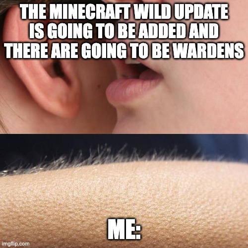 Whisper and Goosebumps | THE MINECRAFT WILD UPDATE IS GOING TO BE ADDED AND THERE ARE GOING TO BE WARDENS; ME: | image tagged in whisper and goosebumps | made w/ Imgflip meme maker