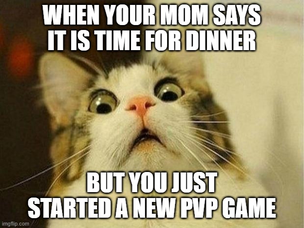 Scared Cat | WHEN YOUR MOM SAYS IT IS TIME FOR DINNER; BUT YOU JUST STARTED A NEW PVP GAME | image tagged in memes,scared cat | made w/ Imgflip meme maker