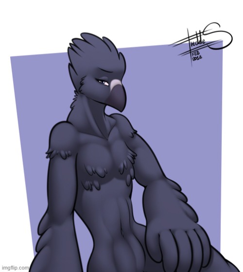 Crow boi (By Freckles) | image tagged in furry,femboy,cute,crow | made w/ Imgflip meme maker