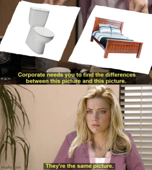 Amber Turd | image tagged in corporate needs you to find the differences,memes,amber heard,johnny depp | made w/ Imgflip meme maker