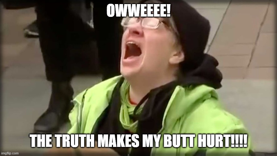 Trump SJW No | OWWEEEE! THE TRUTH MAKES MY BUTT HURT!!!! | image tagged in trump sjw no | made w/ Imgflip meme maker