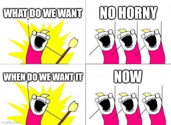 What Do We Want | WHAT DO WE WANT; NO HORNY; WHEN DO WE WANT IT; NOW | image tagged in memes,what do we want | made w/ Imgflip meme maker