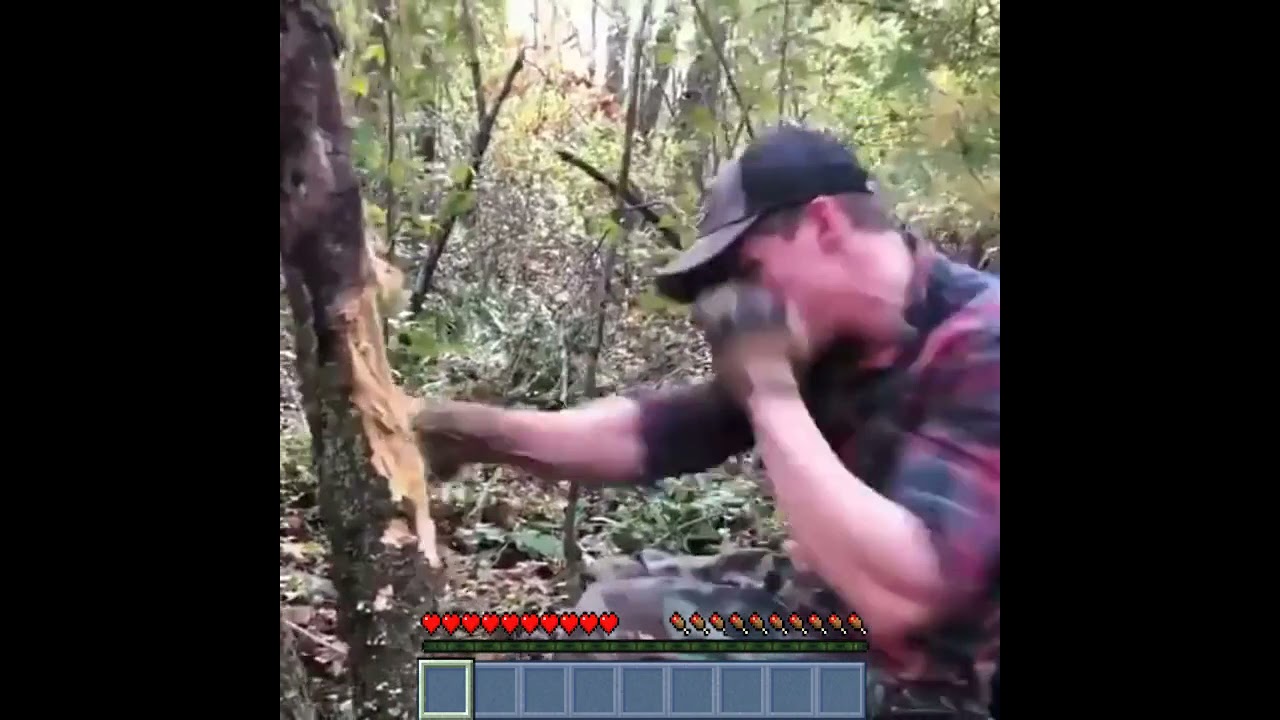 tree bully Blank Meme Template