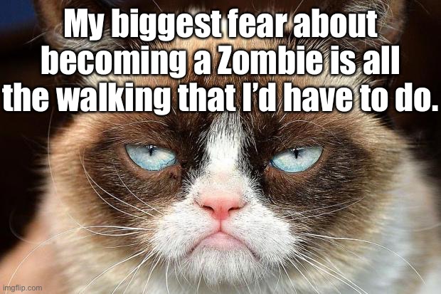 Grumpy Cat | My biggest fear about becoming a Zombie is all the walking that I’d have to do. | image tagged in memes,grumpy cat not amused,grumpy cat,zombie,walking,fun | made w/ Imgflip meme maker