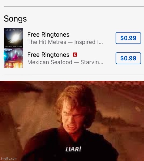 Free but not actually free | image tagged in anakin liar | made w/ Imgflip meme maker