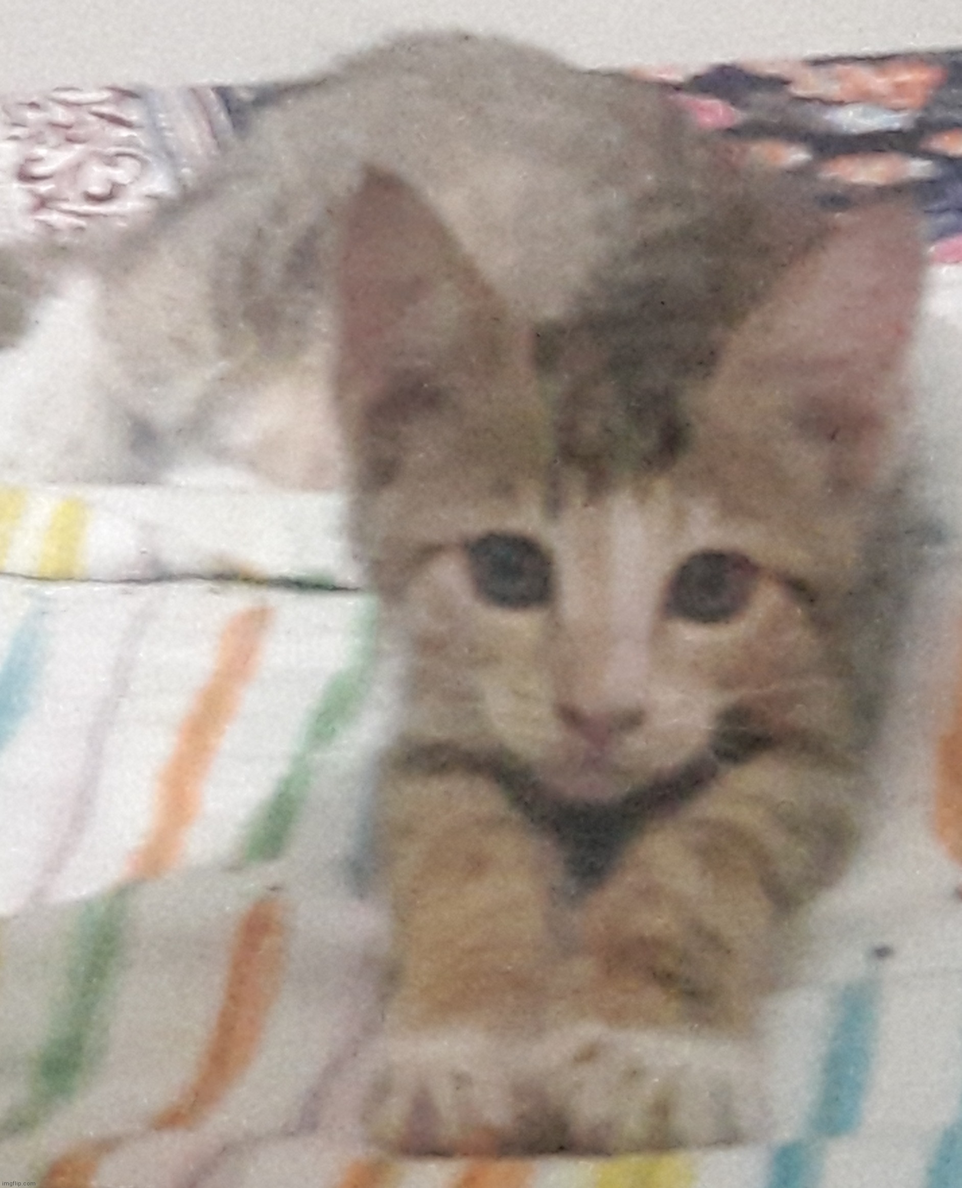 . | made w/ Imgflip meme maker