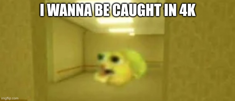 pufferfish in the backrooms | I WANNA BE CAUGHT IN 4K | image tagged in pufferfish in the backrooms | made w/ Imgflip meme maker