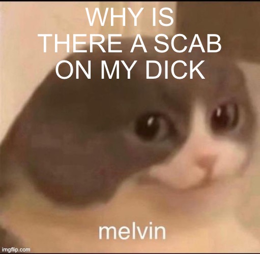 WHAT | WHY IS THERE A SCAB ON MY DICK | image tagged in melvin | made w/ Imgflip meme maker