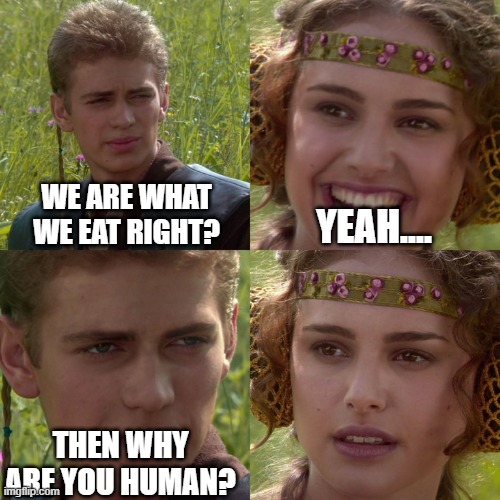 Anakin Padme 4 Panel | WE ARE WHAT WE EAT RIGHT? YEAH.... THEN WHY ARE YOU HUMAN? | image tagged in anakin padme 4 panel | made w/ Imgflip meme maker