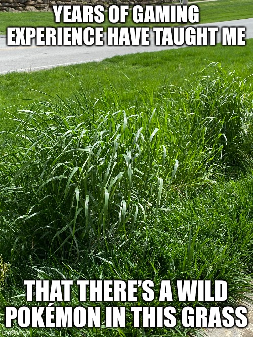 Where’s that Pidgey? | YEARS OF GAMING EXPERIENCE HAVE TAUGHT ME; THAT THERE’S A WILD POKÉMON IN THIS GRASS | image tagged in gaming | made w/ Imgflip meme maker