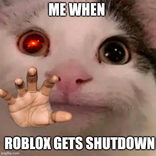 Beluga ANGY roblox | ME WHEN; ROBLOX GETS SHUTDOWN | image tagged in beluga | made w/ Imgflip meme maker